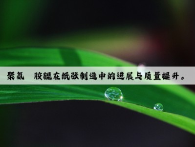 聚氨酯胶辊在纸张制造中的进展与质量提升。